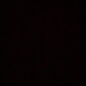 Meet your Posher, Nadine